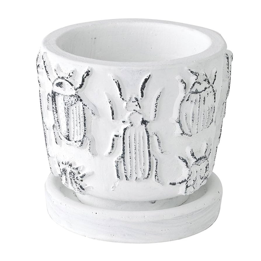 Amazon.co.jp: SPICE OF LIFE(スパイス) 植木鉢 レリーフ